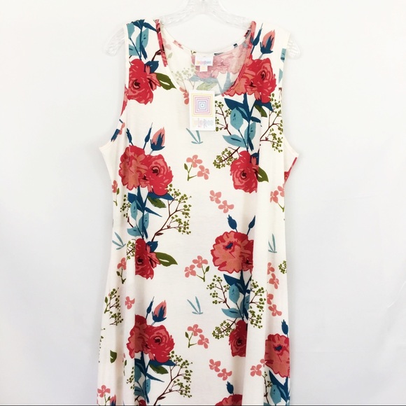 LuLaRoe Dresses & Skirts - Lularoe Floral Retired Dani Dress NWT